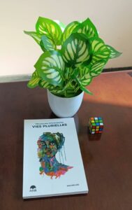 Article : Vie rêvée ou vie orientée vers le bonheur: de l’importance de vivre pour un but en 2025